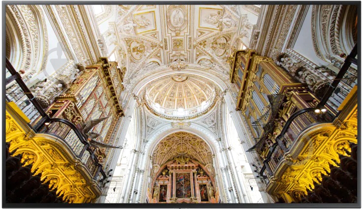 Дисплей Samsung 65 LH65QBNEBGC/CI - фото 1