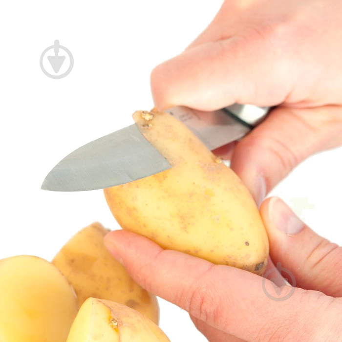 Набір ножів у колоді BergHOFF Essentials 6 предметів 1307143 - фото 3