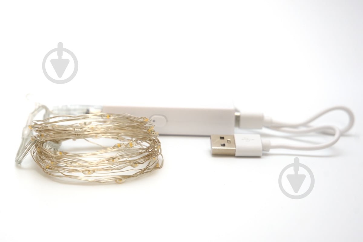 Электрогирлянда светодиодная Девилон светодиодная (LED) 50 ламп (720551) - фото 2 Электрогирлянда светодиодная Девилон светодиодная (LED) 50 ламп (720551) - фото 2