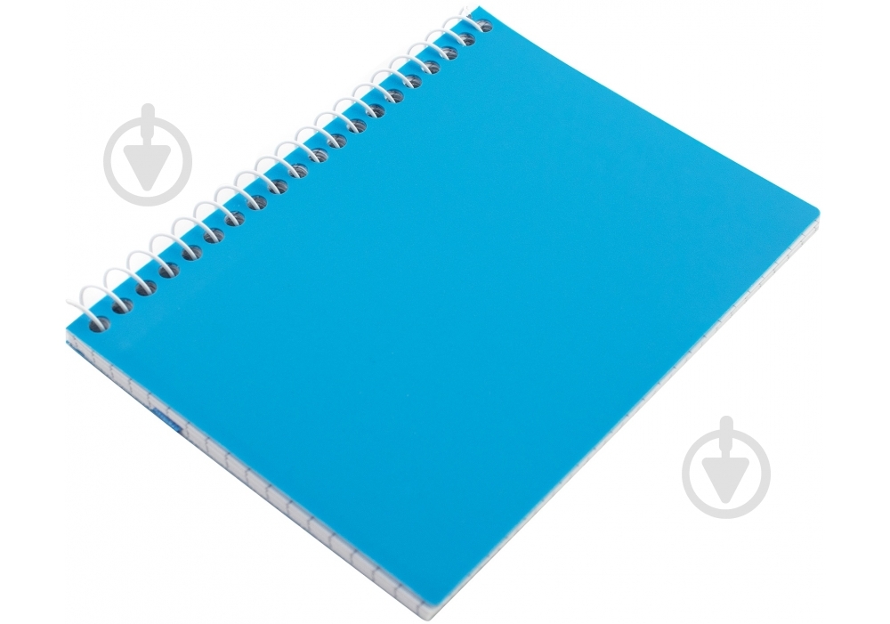 Блокнот А6 спираль 60 листов ячейка E20249 Economix - фото 19 Блокнот А6 спираль 60 листов ячейка E20249 Economix - фото 19