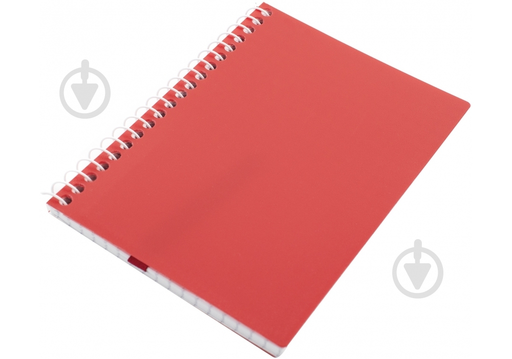 Блокнот А6 спираль 60 листов ячейка E20249 Economix - фото 21 Блокнот А6 спираль 60 листов ячейка E20249 Economix - фото 21