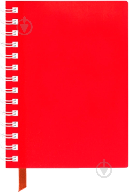 Блокнот А6 спираль 60 листов ячейка E20249 Economix - фото 28 Блокнот А6 спираль 60 листов ячейка E20249 Economix - фото 28