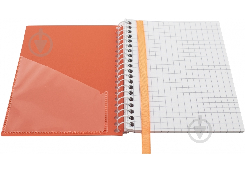 Блокнот А6 спираль 60 листов ячейка E20249 Economix - фото 13 Блокнот А6 спираль 60 листов ячейка E20249 Economix - фото 13