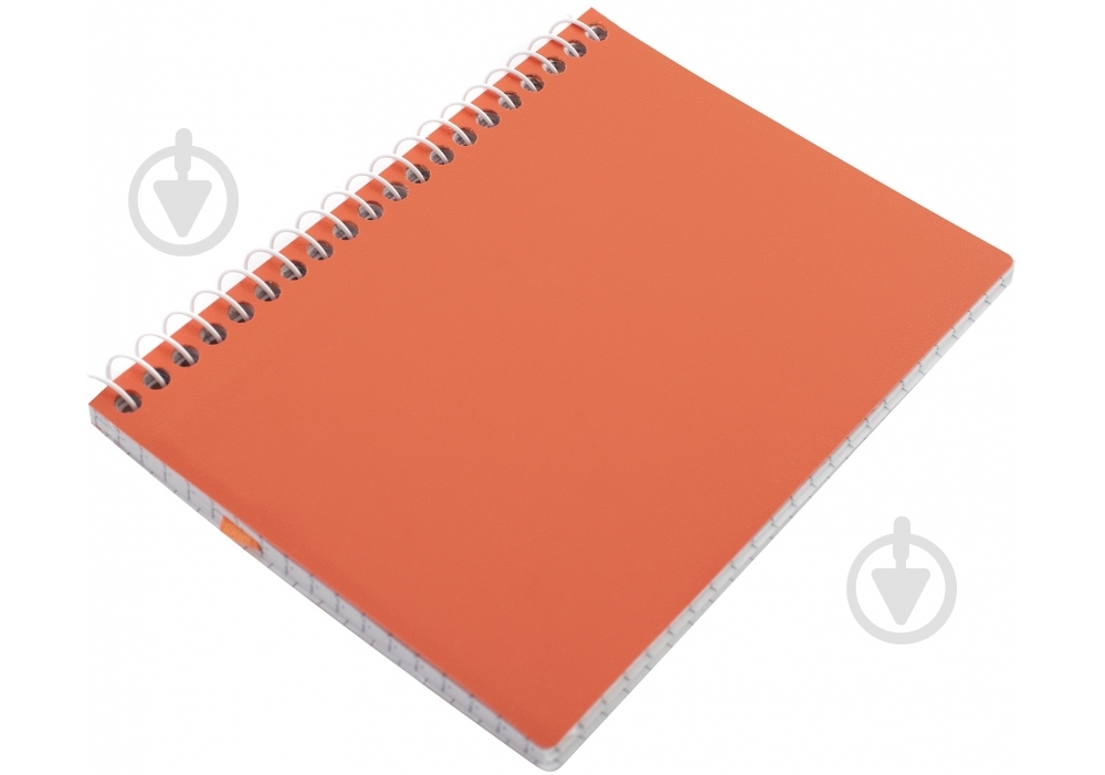 Блокнот А6 спираль 60 листов ячейка E20249 Economix - фото 12 Блокнот А6 спираль 60 листов ячейка E20249 Economix - фото 12