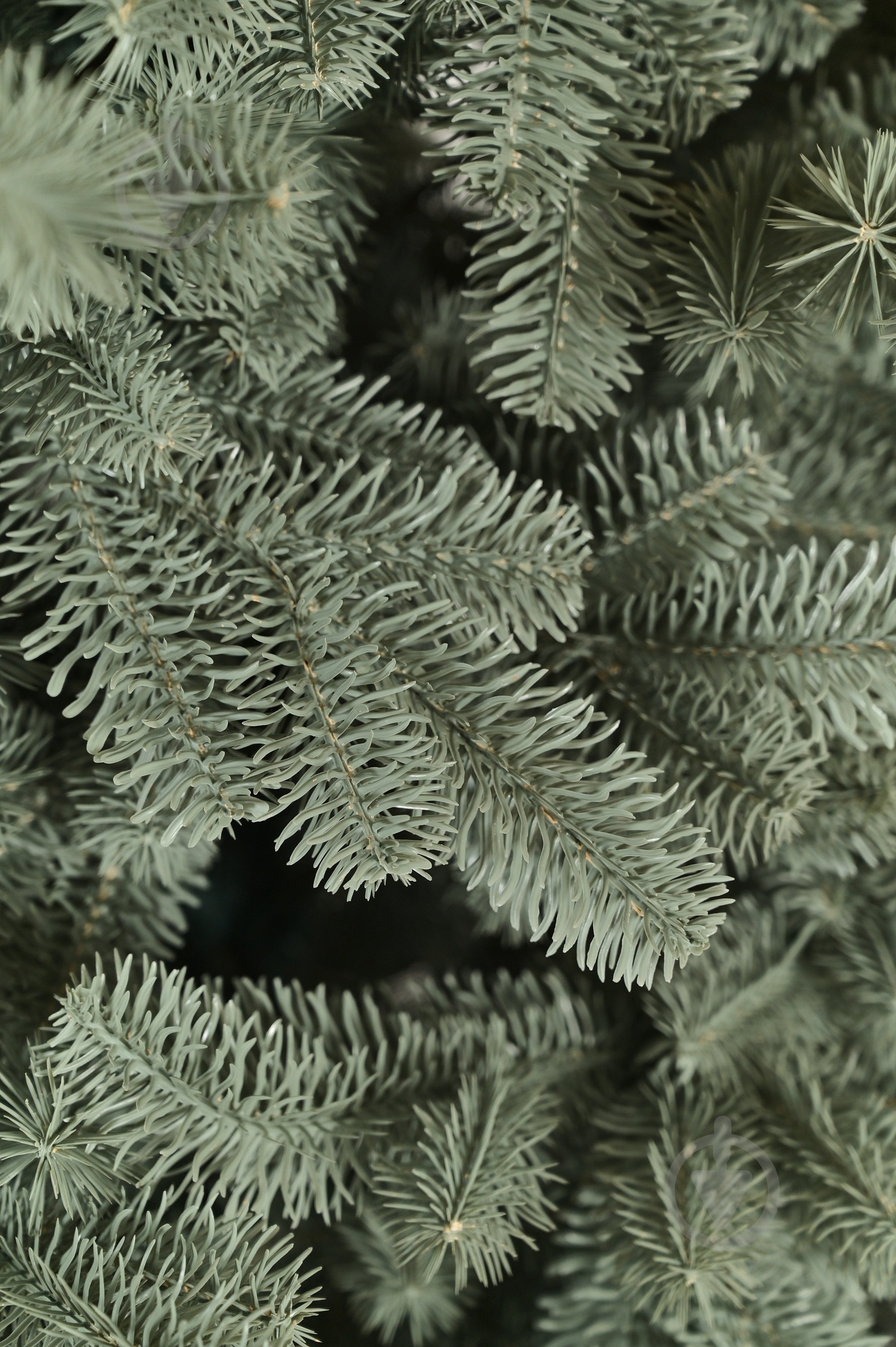 Штучна ялинка Львівська РЕ 100% 1,8м 4648 блакитний - фото 5 Штучна ялинка Львівська РЕ 100% 1,8м 4648 блакитний - фото 5