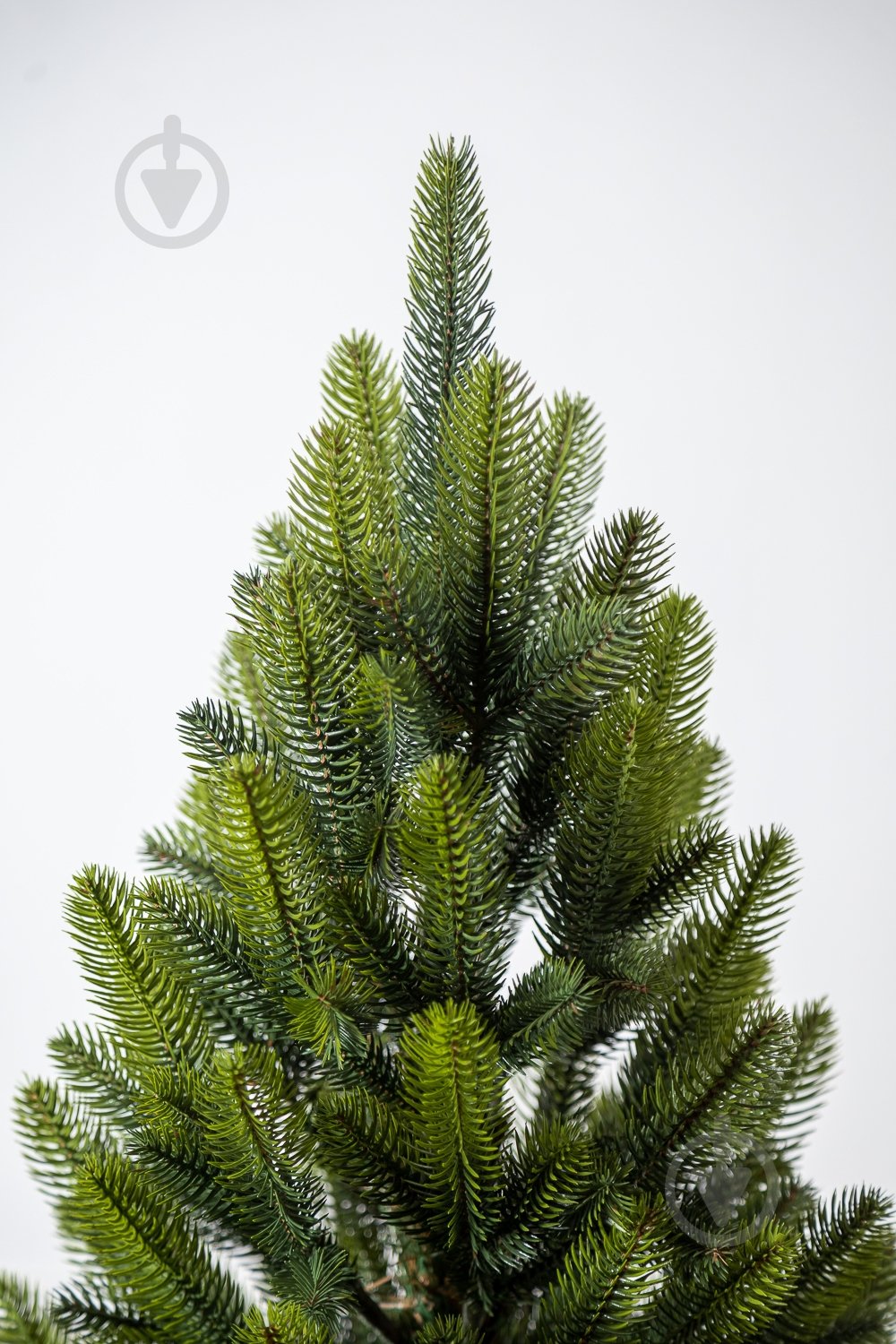 Штучна ялинка Лапландська 0,9 м Весняна в горщику зеленийSiga Group - фото 4