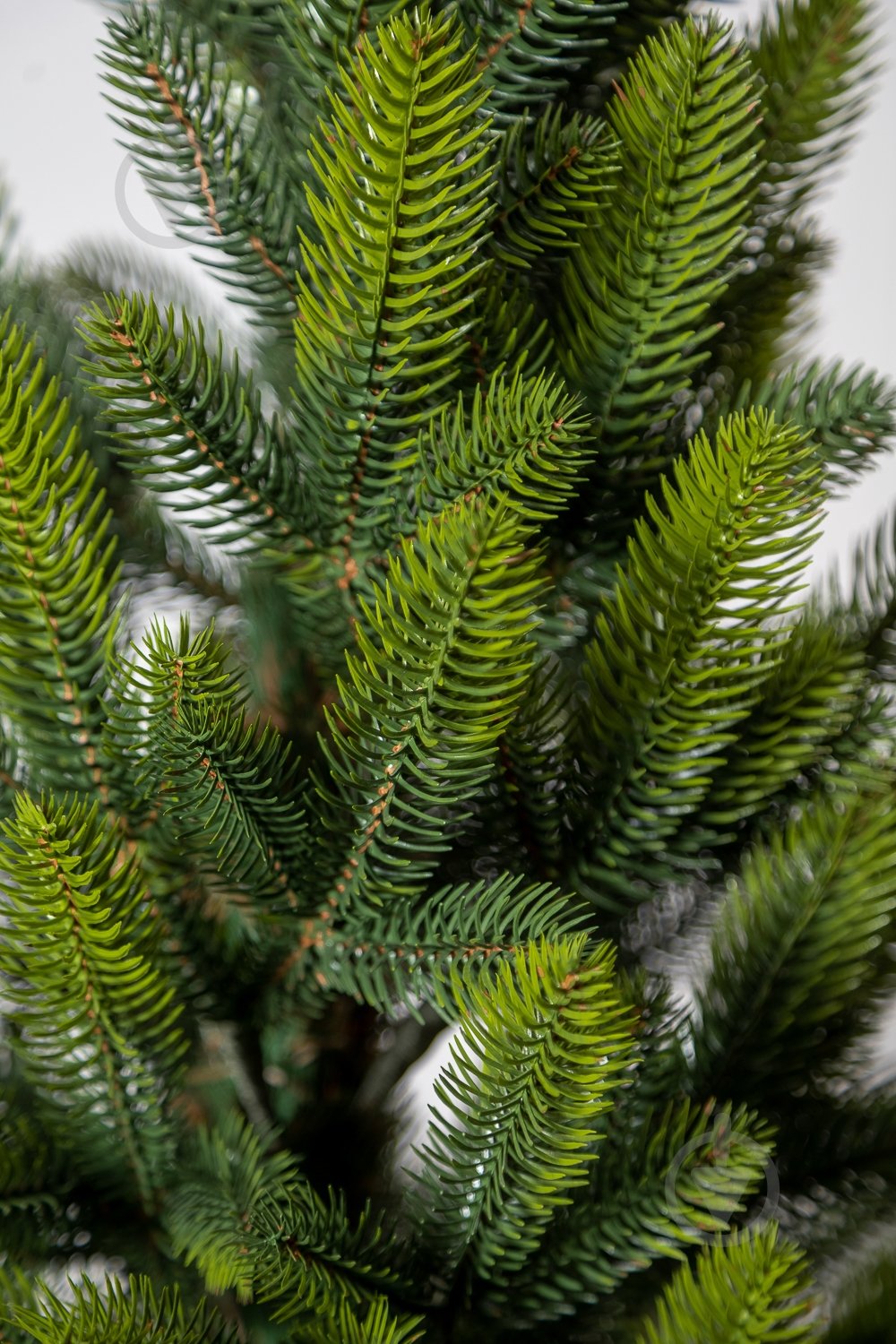 Штучна ялинка Лапландська 0,9 м Весняна в горщику зеленийSiga Group - фото 6