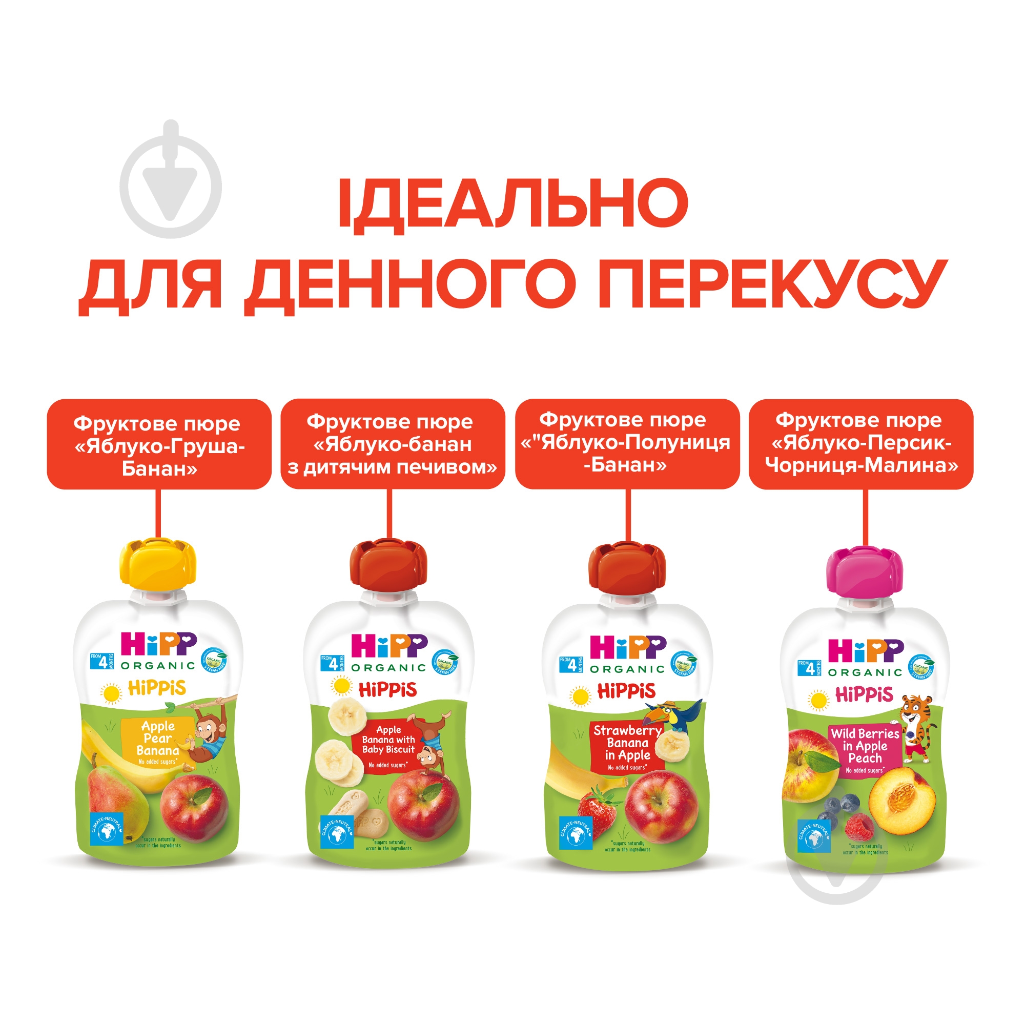 Пюре Hipp Яблуко-персик-чорниця-малина 100 г 9062300133773 — фото 7