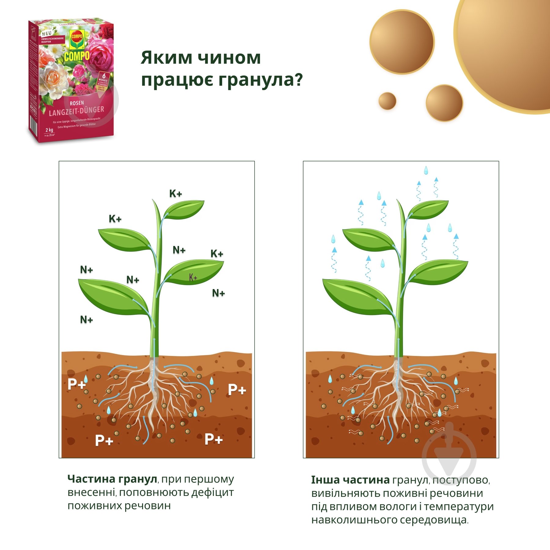 Удобрение Compo твердое длительного действия для роз 2кг (3589) - фото 4