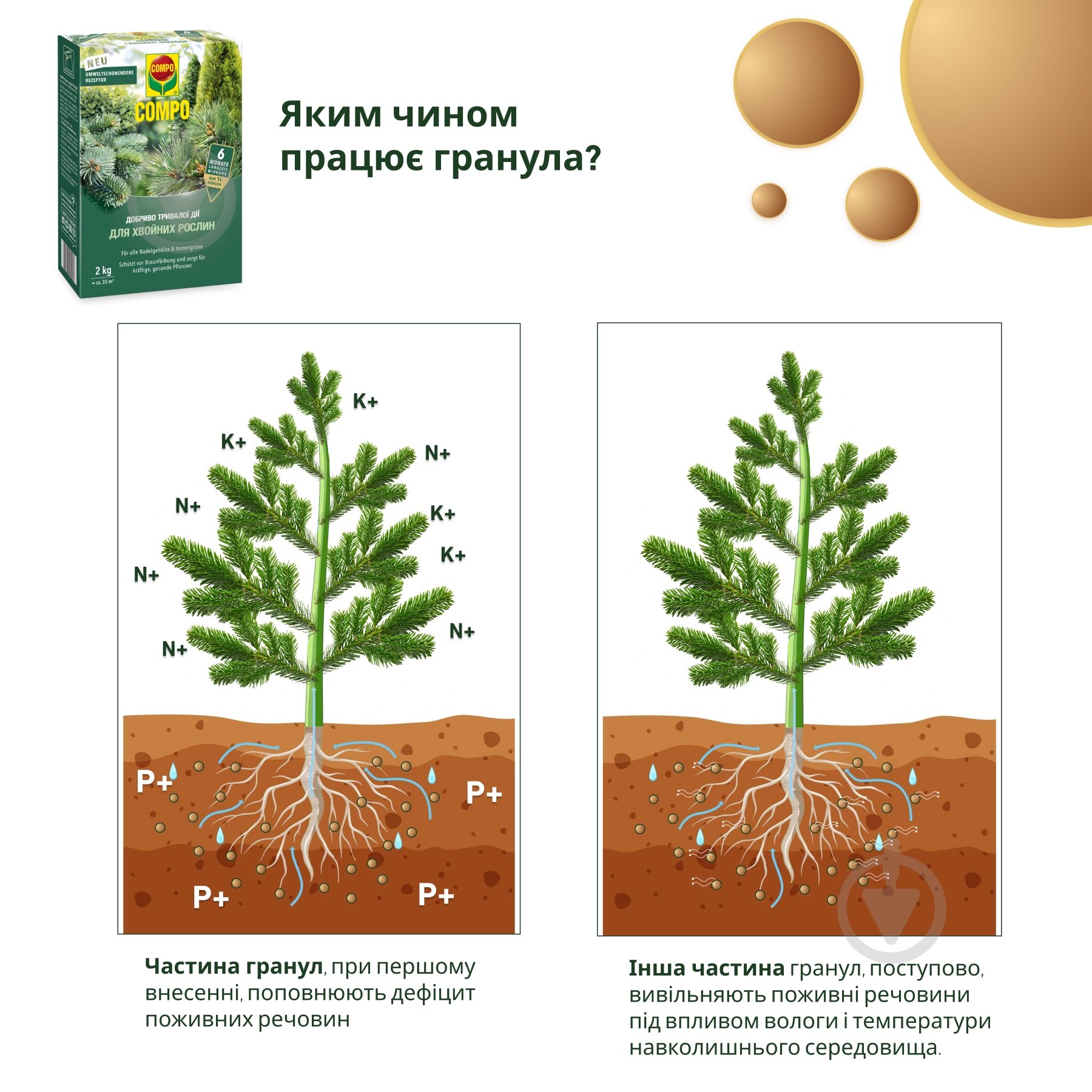 Удобрение Compo твердое длительного действия для хвои 2кг (3856) - фото 3
