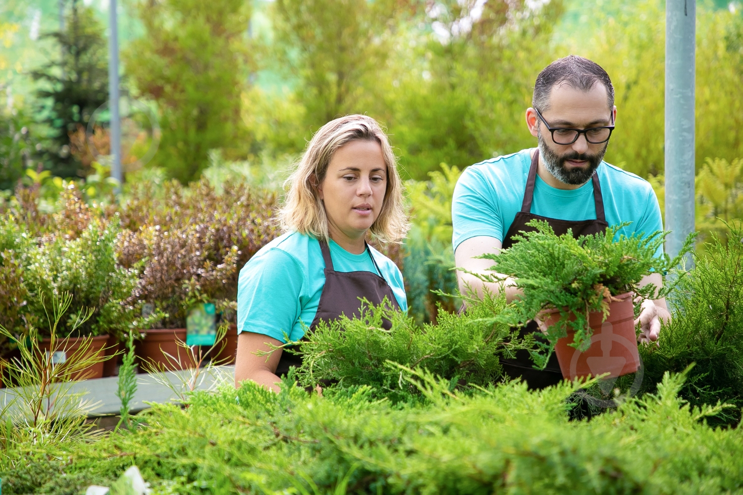 Удобрение Compo твердое длительного действия для хвои 2кг (3856) - фото 11