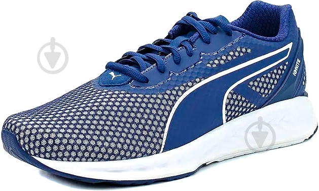 Кросівки чоловічі Puma IGNITE 3 18944906 р.45 сині - фото 1