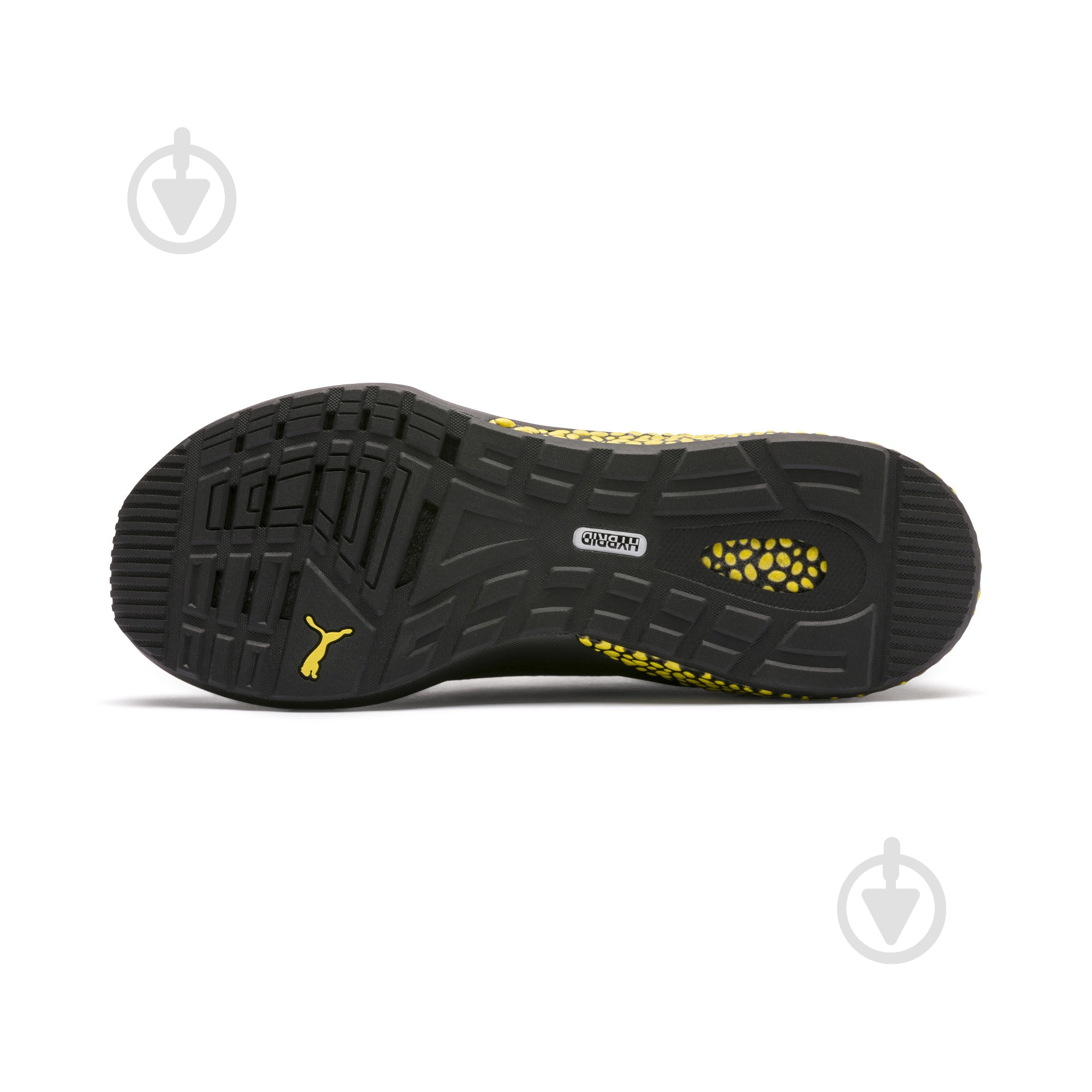 hybrid nx caution