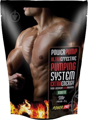 Креатин моногидрат POWER PRO Creatine 500 г - фото 1