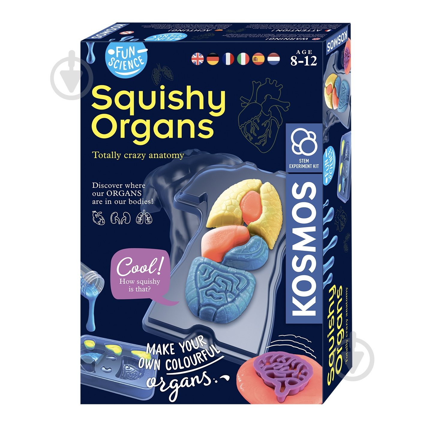 Набор исследователя Kosmos Желейные органы (Squichy Organs) 616816 - фото 1