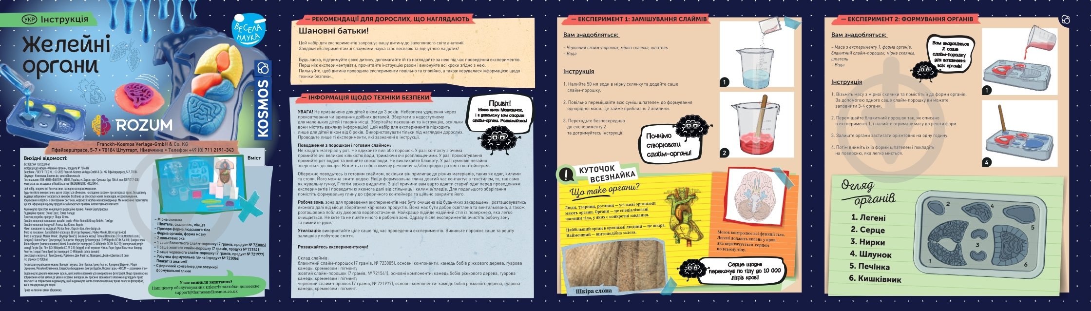 Набор исследователя Kosmos Желейные органы (Squichy Organs) 616816 - фото 3