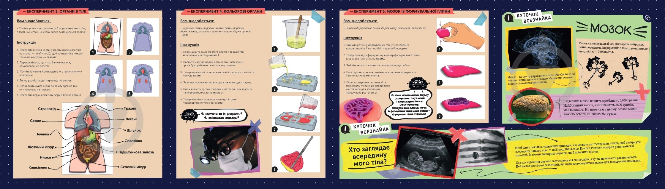 Набор исследователя Kosmos Желейные органы (Squichy Organs) 616816 - фото 4