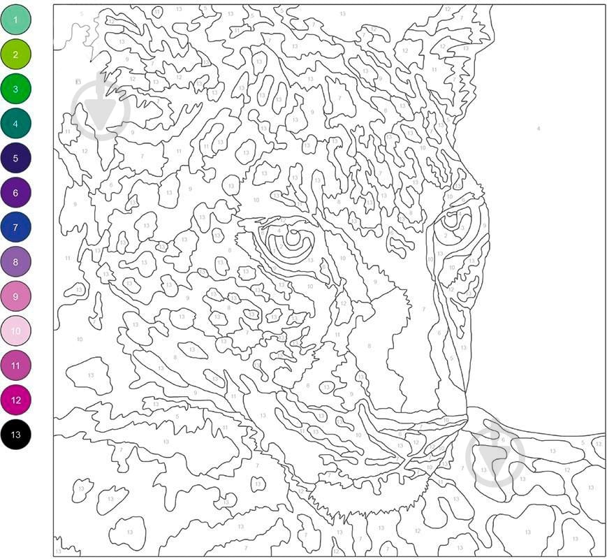Книга-розмальовка Лорен Фарнсворт «Колортронік. Калейдоскоп кольорових пригод» 978-966-97632-8-0 - фото 2