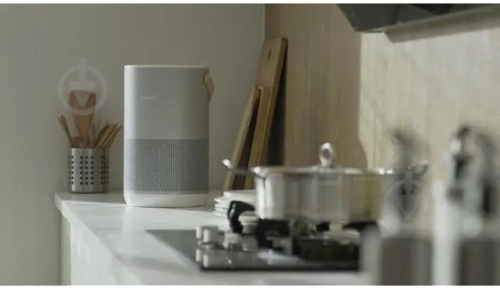 Фильтр для очистителя воздуха SmartMi ZMFL-P1-A Pollen Allergy (841523) - фото 4 Фильтр для очистителя воздуха SmartMi ZMFL-P1-A Pollen Allergy (841523) - фото 4