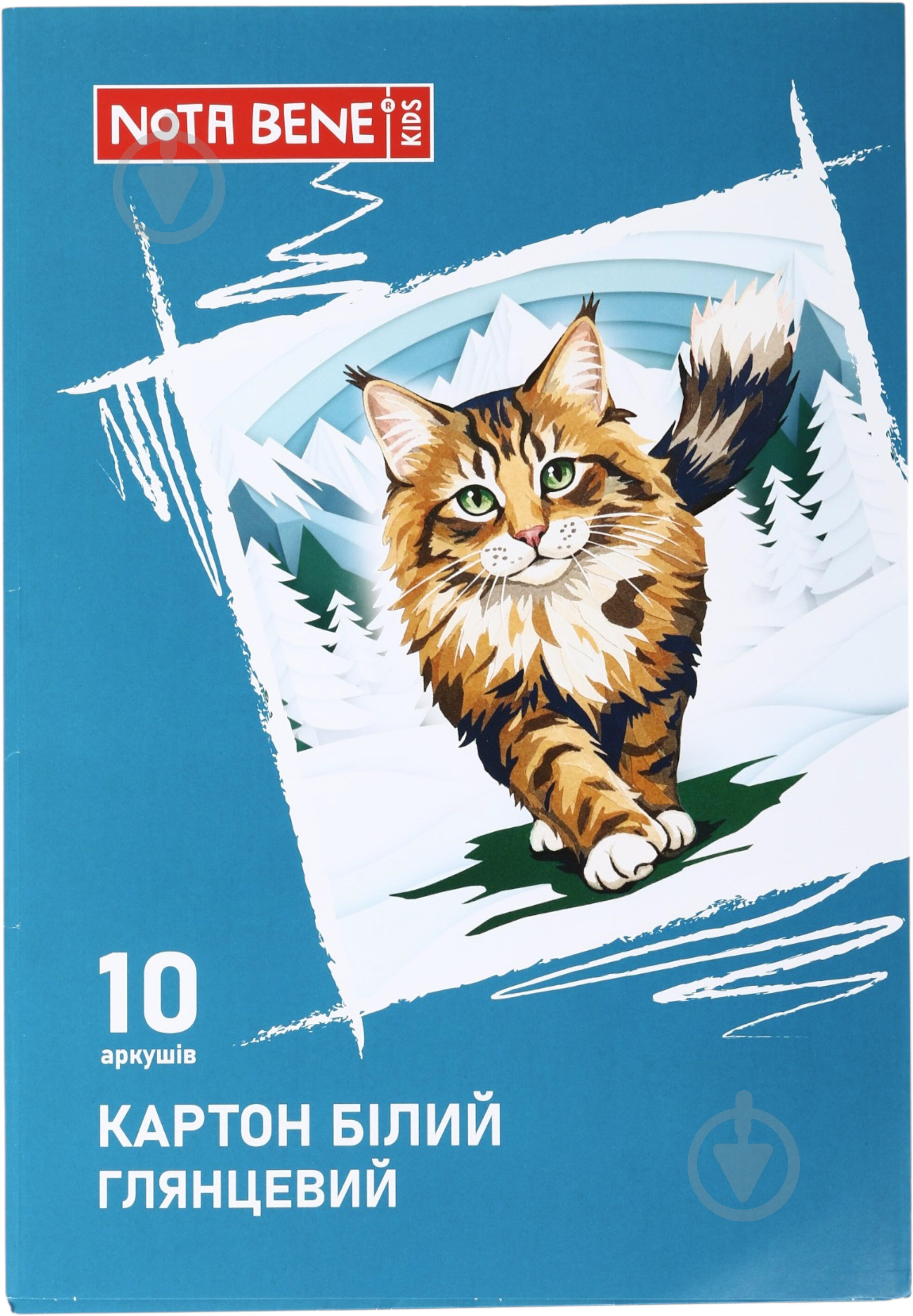 Набор белого картона глянцевого А4 10 листов Nota Bene - фото 1