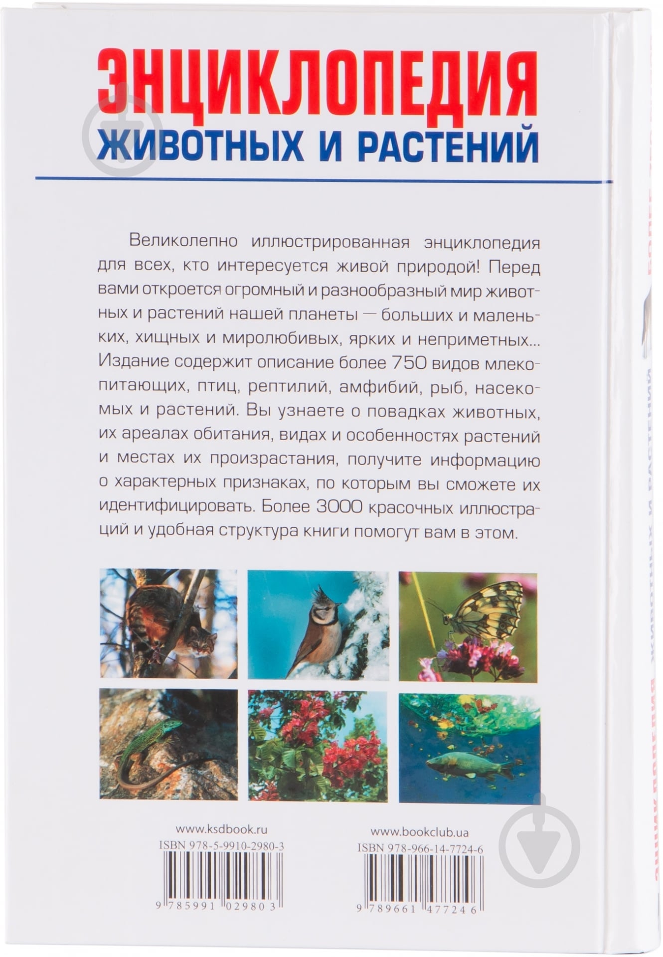 Книга Диршке Ф. «Энциклопедия животных и растений» 978-966-14-7724-6 - фото 2