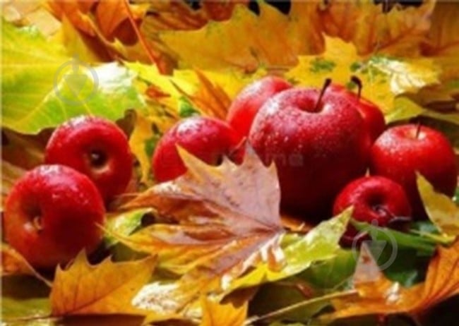 Набор со стразами на подрамнике Осенние дары 30x40 см (GLD62576) GoToArt - фото 1 Набор со стразами на подрамнике Осенние дары 30x40 см (GLD62576) GoToArt - фото 1