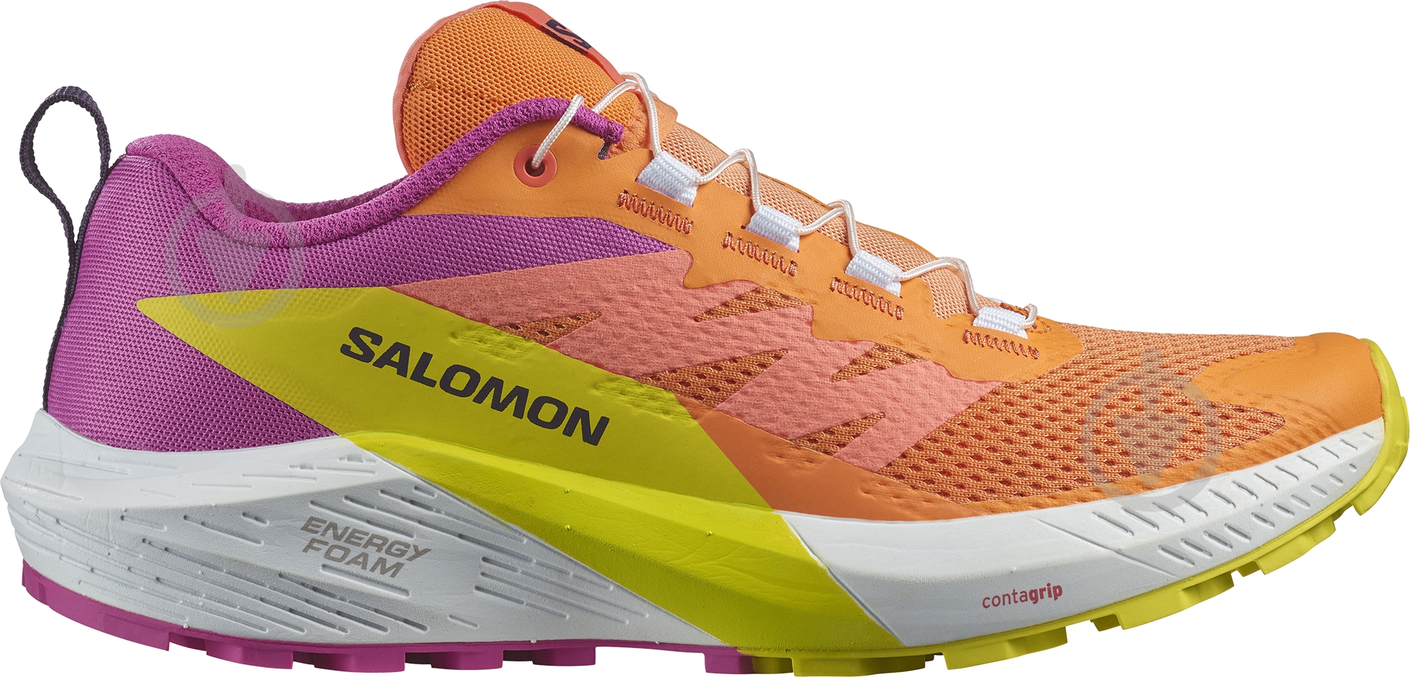 ᐉ Кросівки жіночі Salomon SENSE RIDE 5 W L47459000 р.37 1/3