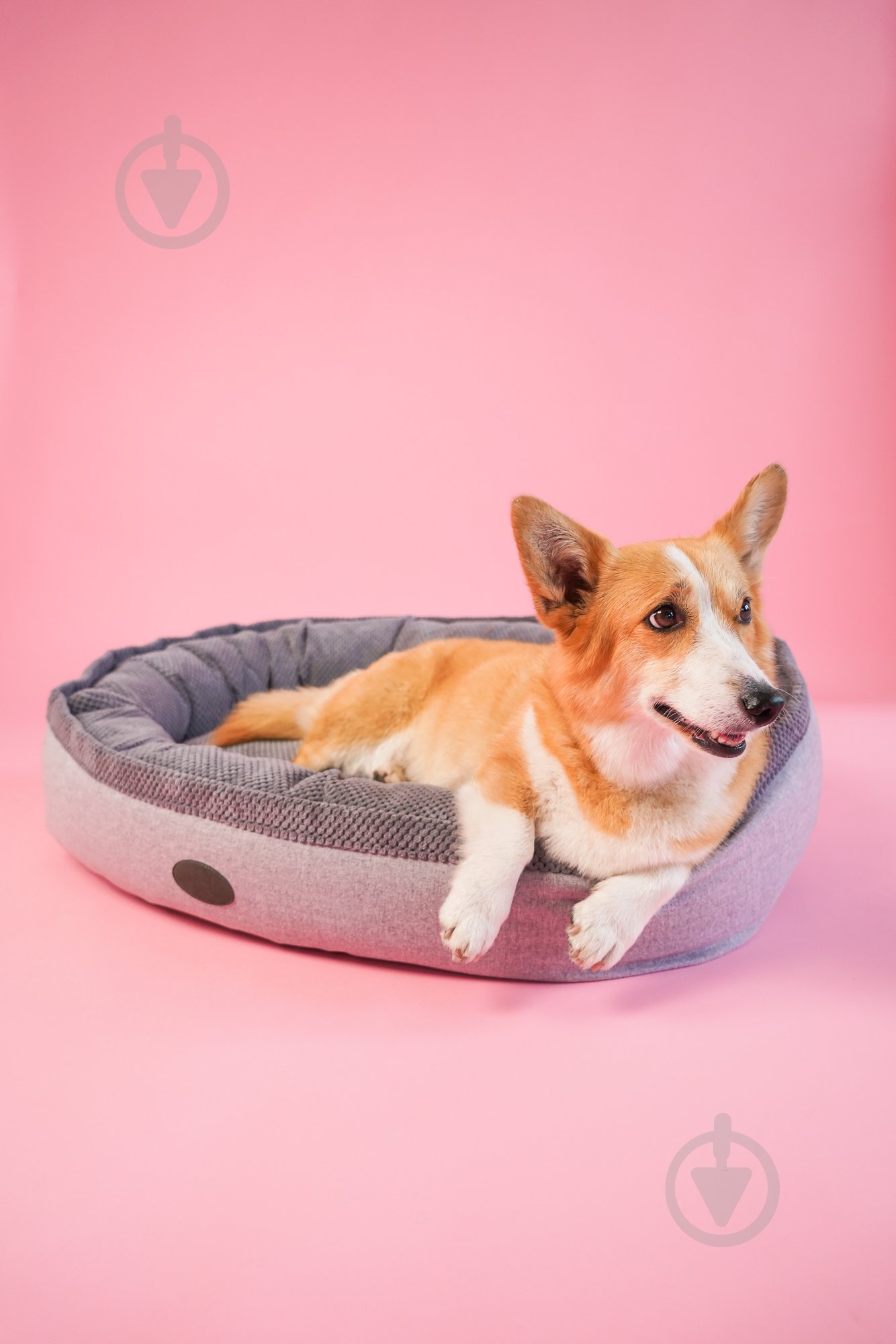 Лежак Harley and Cho Donut L Gray Soft Touch 95х70 см 3102862 - фото 6 Лежак Harley and Cho Donut L Gray Soft Touch 95х70 см 3102862 - фото 6