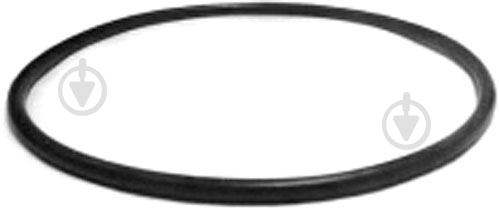 Уплотнительное кольцо Aquafilter OR-E-1524х57 - фото 1