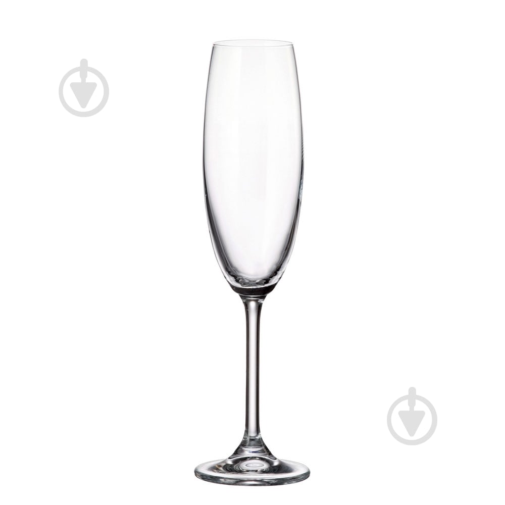 Набор бокалов для шампанского Bohemia Colibri 4S032/00000/220 220 мл 6 шт. - фото 1 Набор бокалов для шампанского Bohemia Colibri 4S032/00000/220 220 мл 6 шт. - фото 1