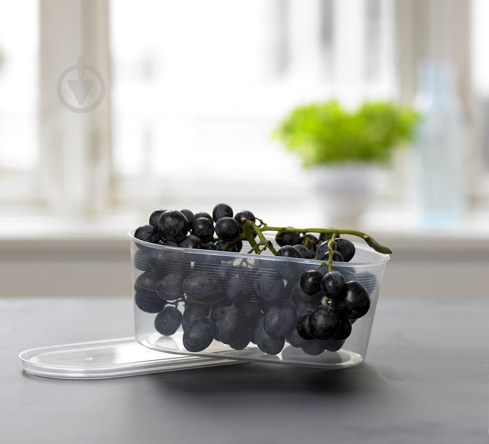 Емкость для морозильной камеры Plast Team Helsinki 800 мл 1503 - фото 2 Емкость для морозильной камеры Plast Team Helsinki 800 мл 1503 - фото 2