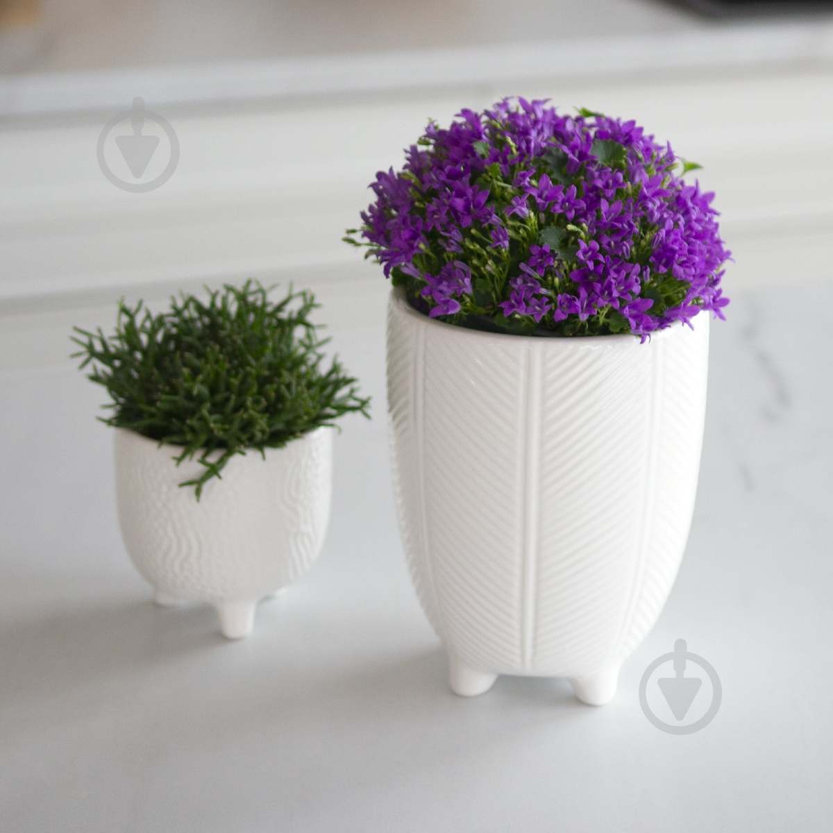 ᐉ Ваза-кашпо MVM керамическая DH-FLOWERS-28 M WHITE 14 см Белый