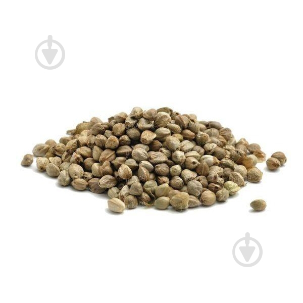 Прикормка Rocket Baits 800 г конопля - фото 1