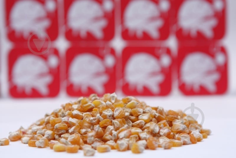 Прикормка 1000 г кукуруза - фото 1