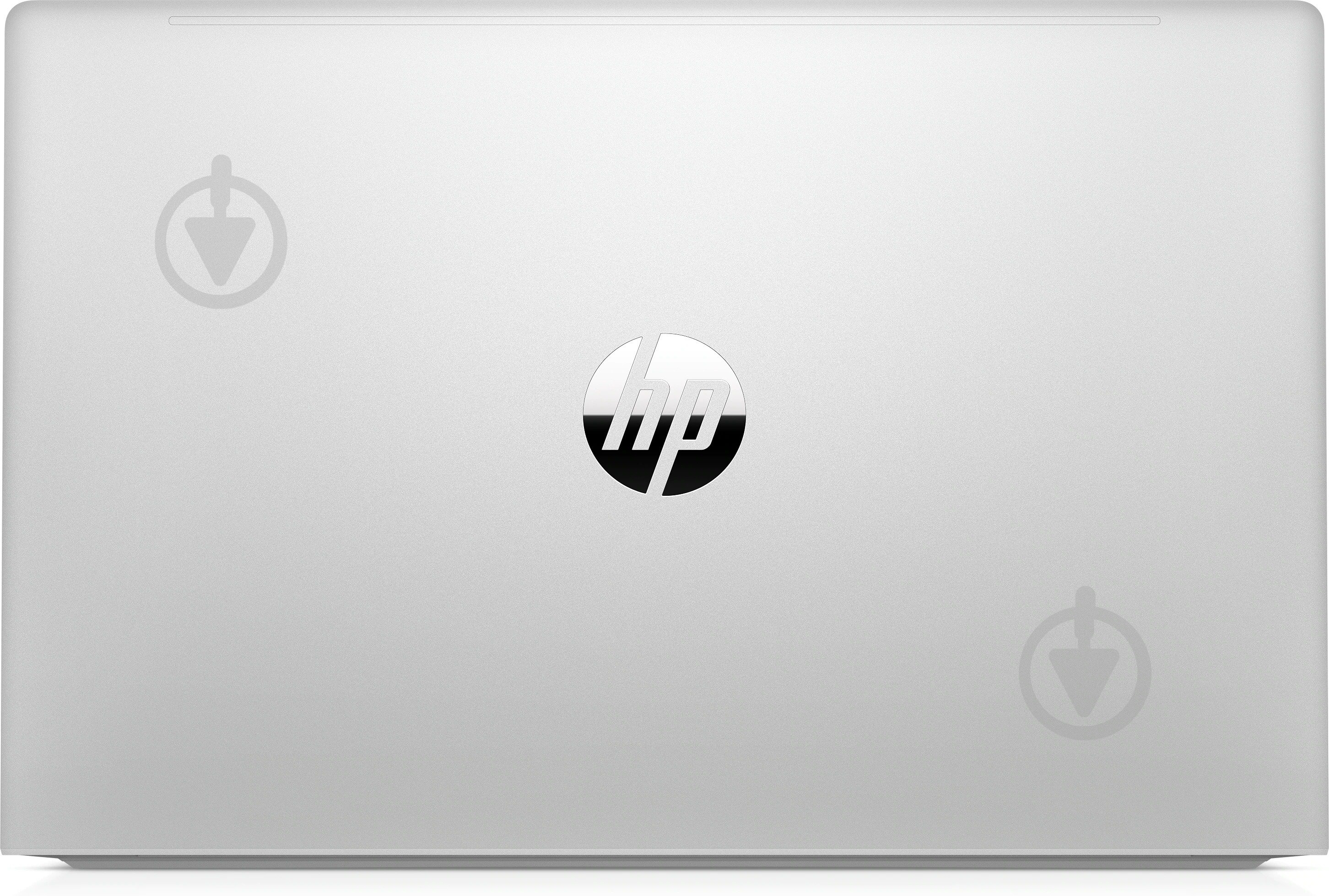 Ноутбук HP ProBook 450 G8 15,6 (203F7EA) silver - фото 7