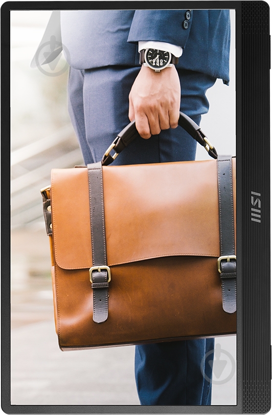 Монитор MSI PRO MP161 15,6" (PRO MP161) - фото 4