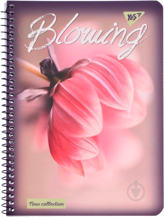 Книга для записей А5 80 YES - фото 2 Книга для записей А5 80 YES - фото 2