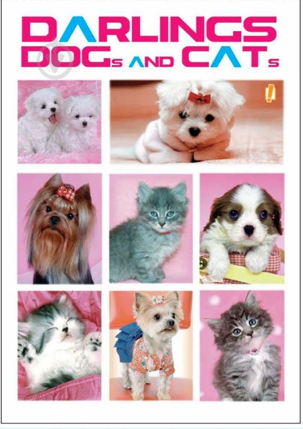 Книга для записей А5 60 YES - фото 14 Книга для записей А5 60 YES - фото 14