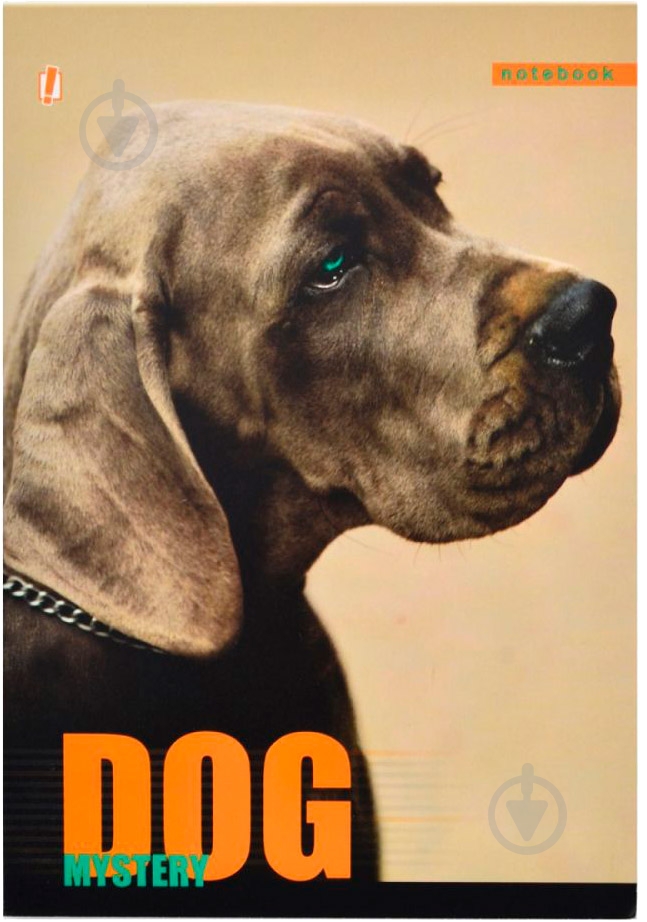 Книга для записей А5 60 YES - фото 19 Книга для записей А5 60 YES - фото 19