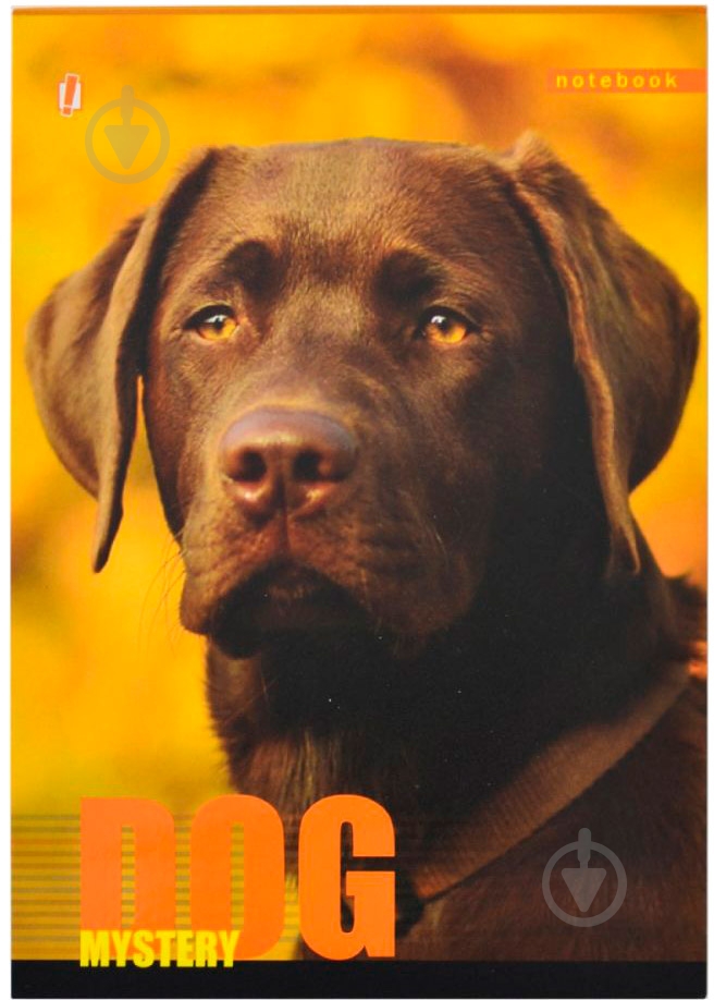 Книга для записей А5 60 YES - фото 17 Книга для записей А5 60 YES - фото 17