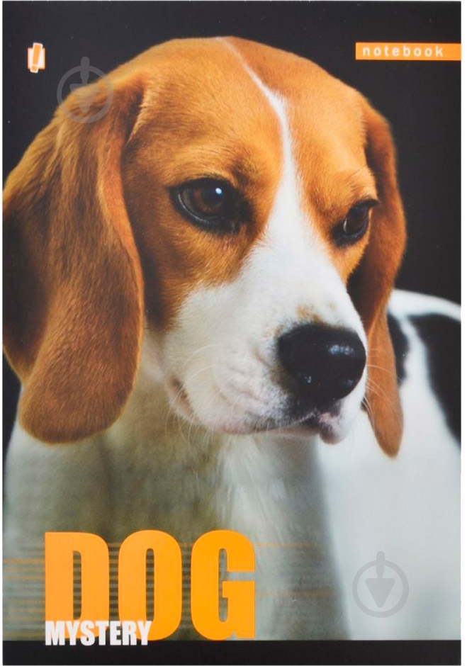 Книга для записей А5 60 YES - фото 20 Книга для записей А5 60 YES - фото 20