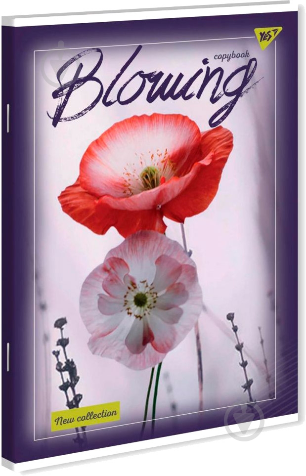 Тетрадь школьная 48 листов в клетку YES - фото 6