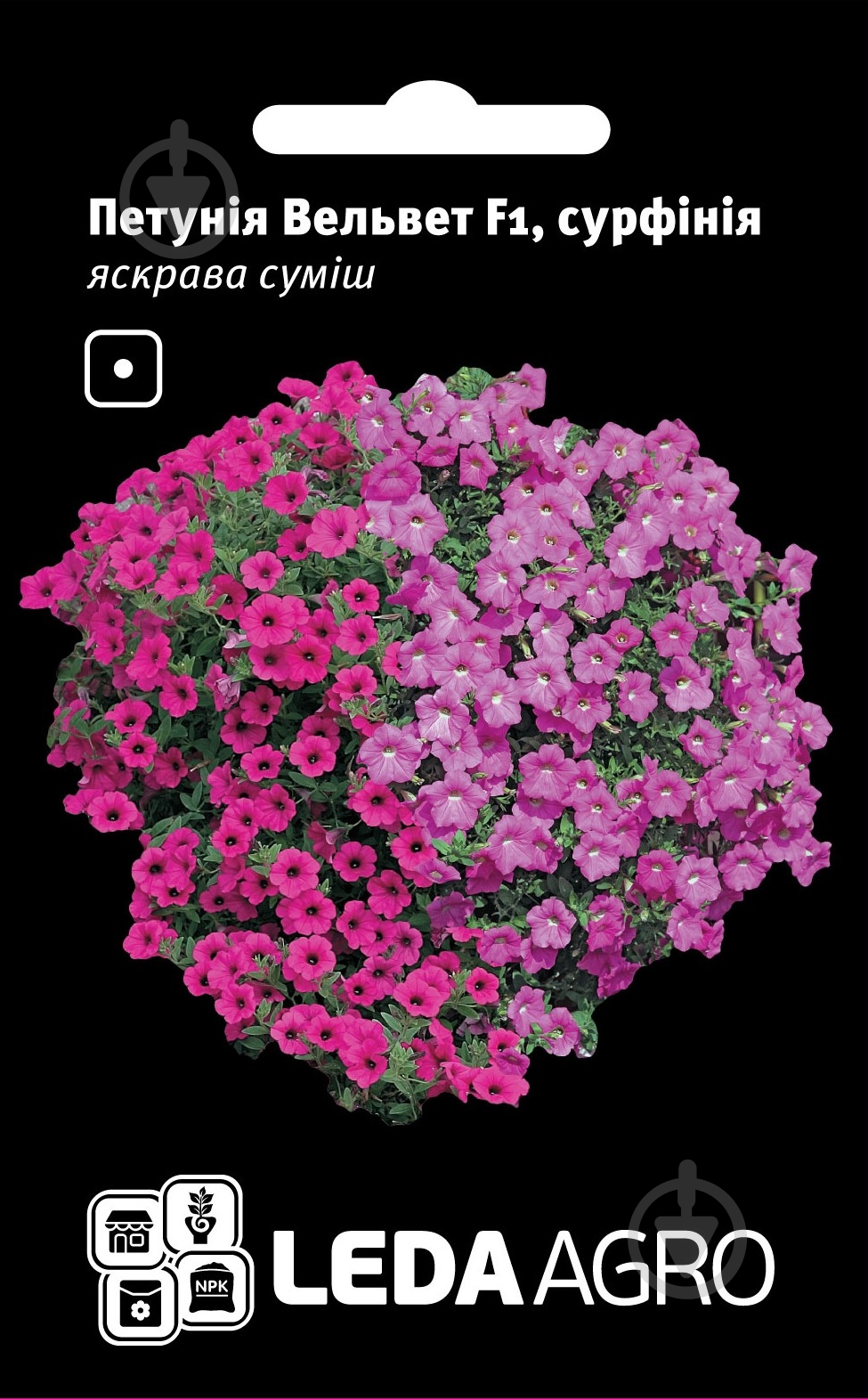 Семена LedaAgro петуния Вельвет смесь 5 шт. (4820119794456) - фото 1