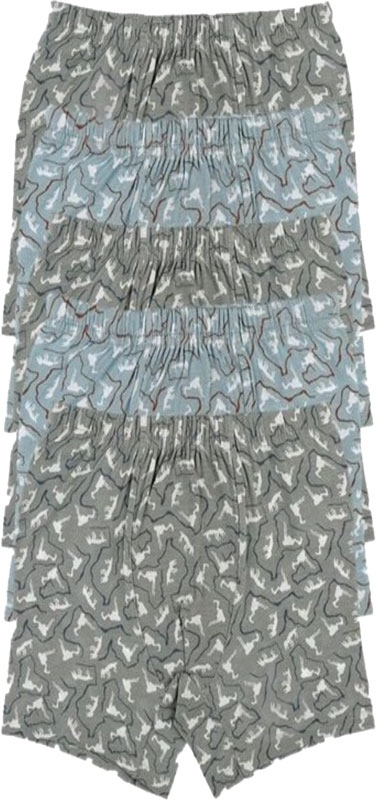 Труси для хлопчика Donella 75882 р.146-152 в асортименті - фото 1