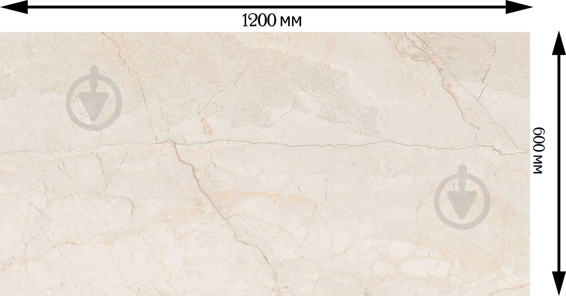 Плитка Cifre Egeo Ivory Pulido 60x120 - фото 5