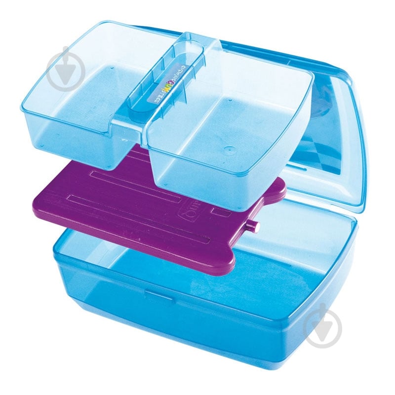 Ємність для сніданку Rotho дитяча 1,3 л з двосекційним лотком і охолоджуючим елементом - фото 1 Ємність для сніданку Rotho дитяча 1,3 л з двосекційним лотком і охолоджуючим елементом - фото 1