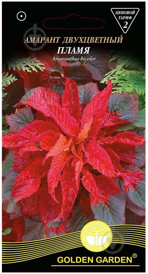 Семена Golden Garden амарант двухцветный Пламя 0,3 г - фото 1