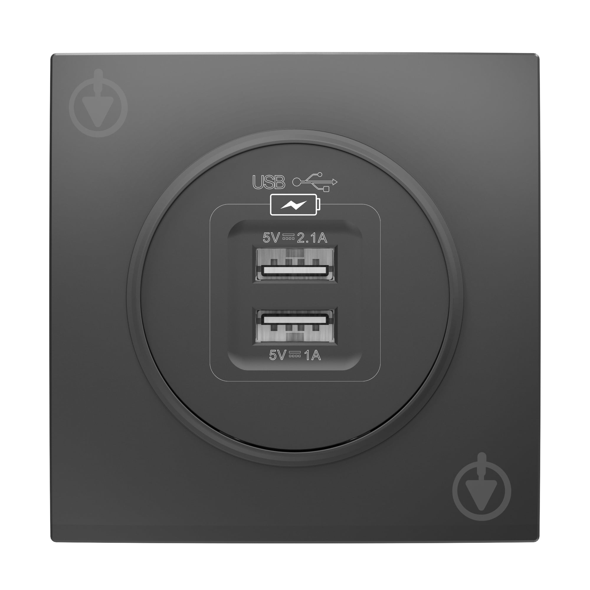 Механизм розетки USB 2 HausMark Bela IP20 черный - фото 1
