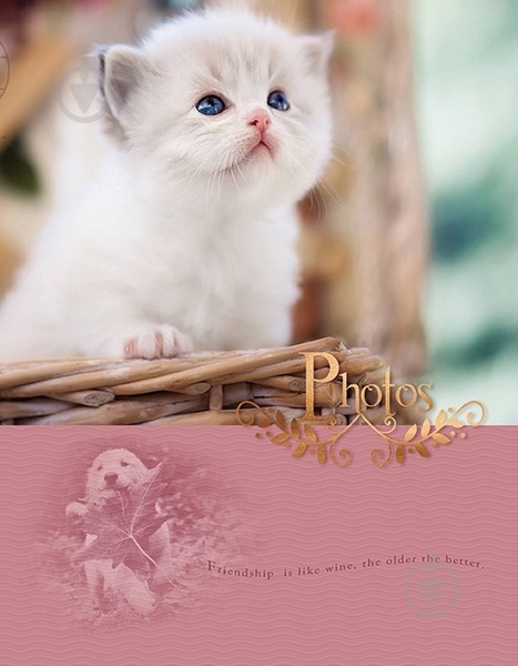 Фотоальбом UFO 10x15x200 PP-46200 White cat - фото 1