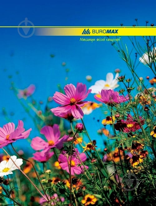 Книга учёта А4 96 лист. - фото 1 Книга учёта А4 96 лист. - фото 1